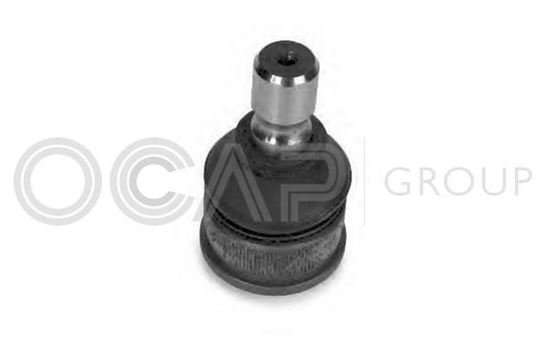 Šarnyras / girgždukas OCAP 0402640