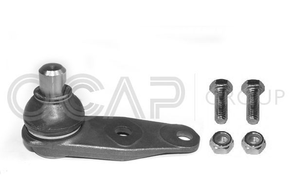 Šarnyras / girgždukas OCAP 0402727