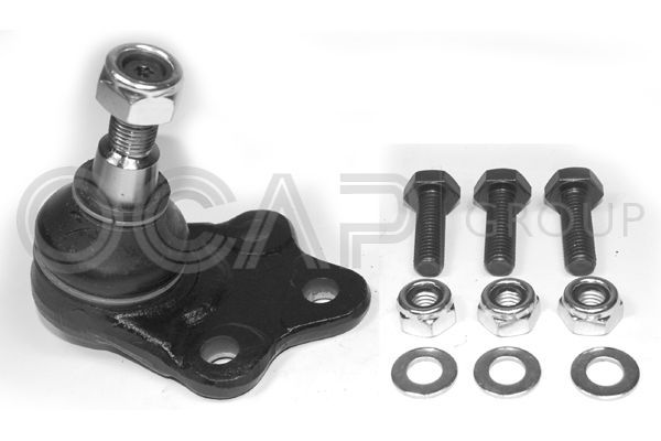 Šarnyras / girgždukas OCAP 0402730