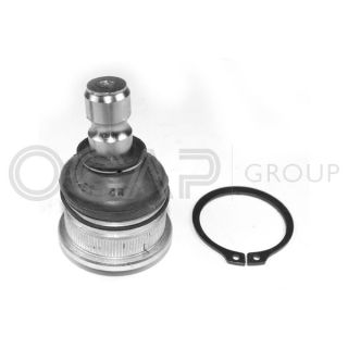 Šarnyras / girgždukas OCAP 0402793