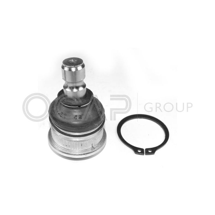 Šarnyras / girgždukas OCAP 0402793