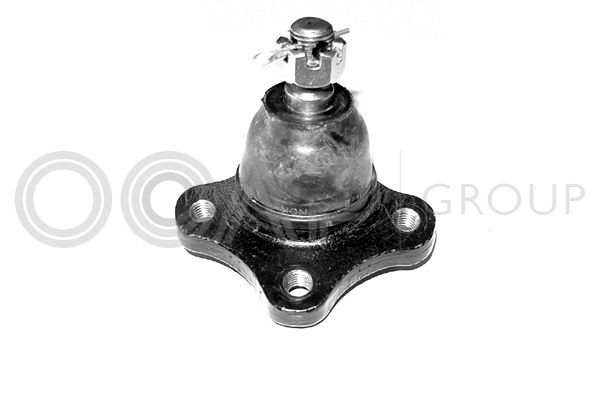 Šarnyras / girgždukas OCAP 0402936