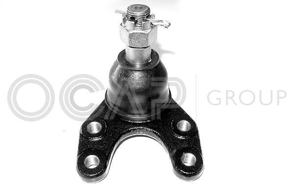 Šarnyras / girgždukas OCAP 0402937