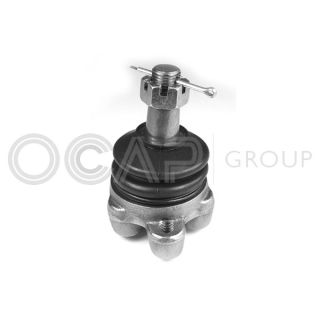 Šarnyras / girgždukas OCAP 0402940