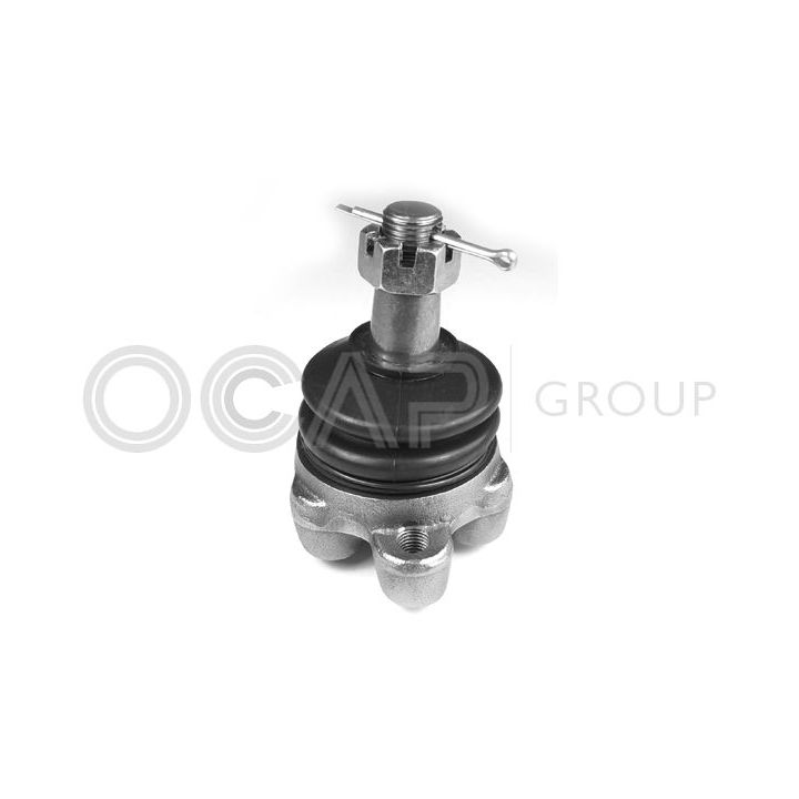 Šarnyras / girgždukas OCAP 0402940