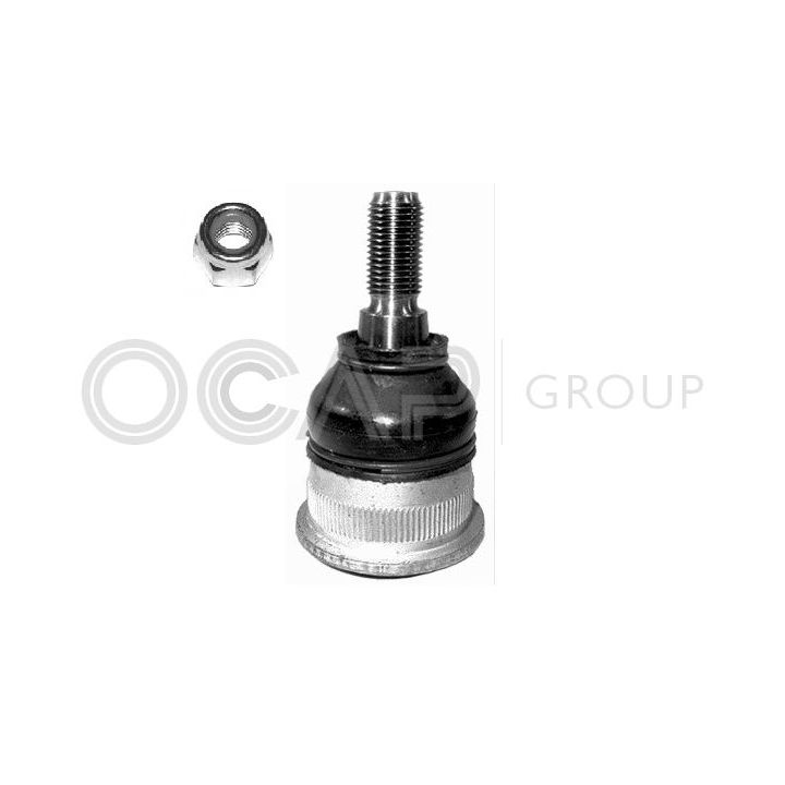 Šarnyras / girgždukas OCAP 0403016