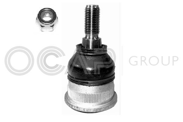 Šarnyras / girgždukas OCAP 0403016