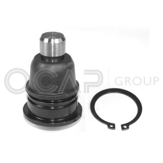 Šarnyras / girgždukas OCAP 0403124