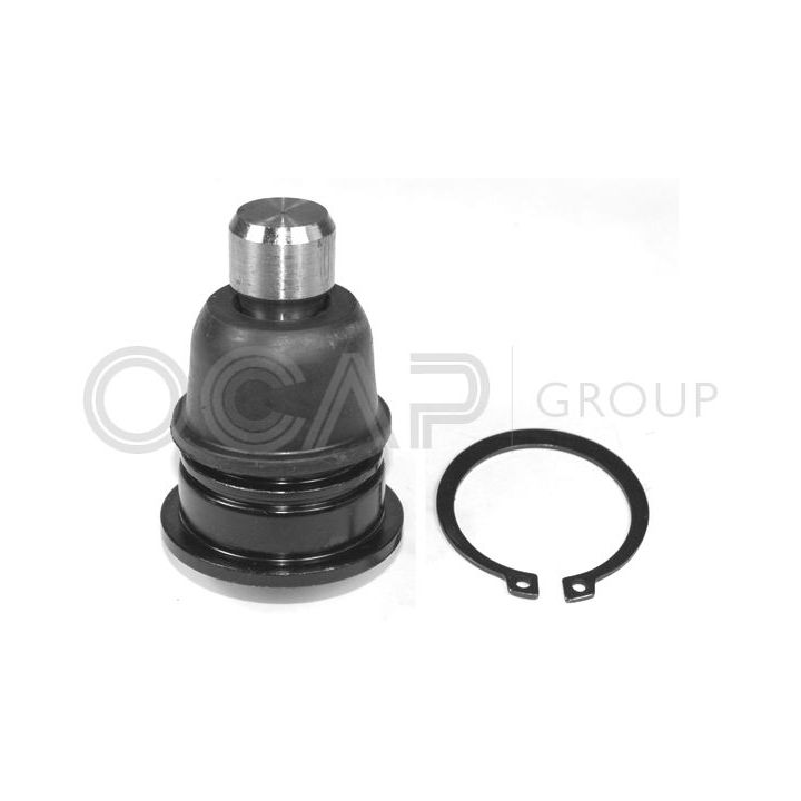 Šarnyras / girgždukas OCAP 0403124