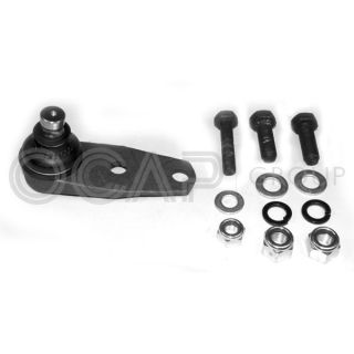 Šarnyras / girgždukas OCAP 0403207