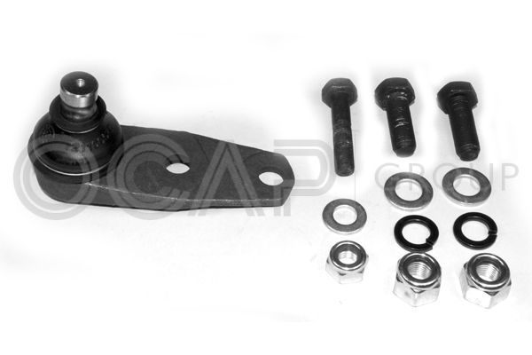 Šarnyras / girgždukas OCAP 0403207