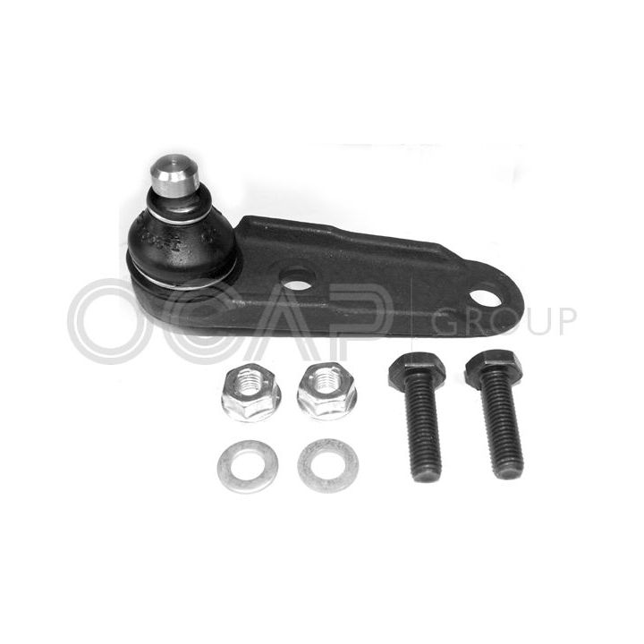 Šarnyras / girgždukas OCAP 0403208