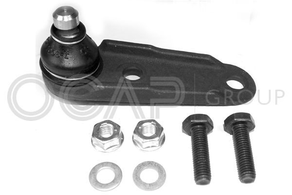 Šarnyras / girgždukas OCAP 0403208