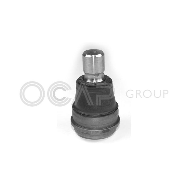 Šarnyras / girgždukas OCAP 0403252