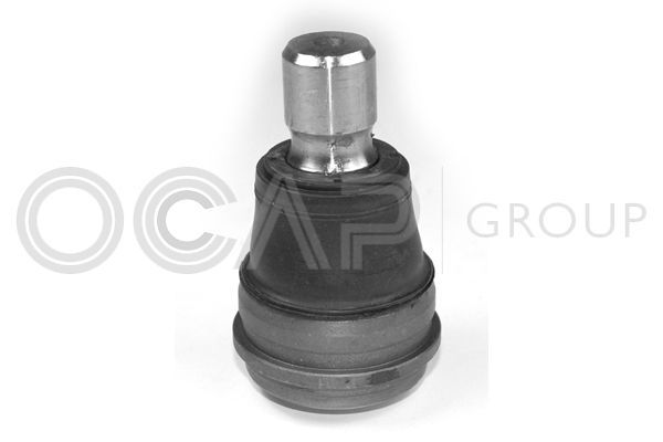 Šarnyras / girgždukas OCAP 0403252