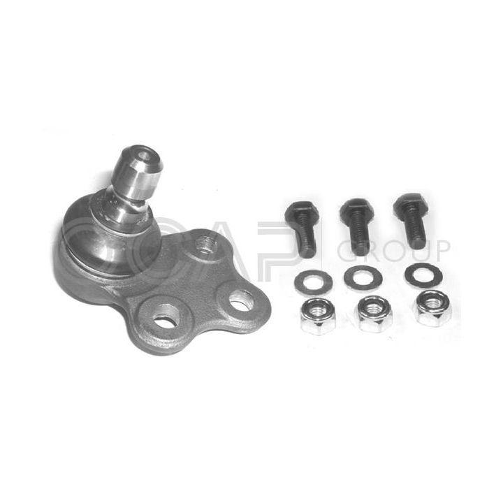 Šarnyras / girgždukas OCAP 0403263