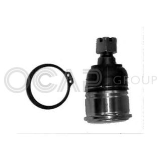 Šarnyras / girgždukas OCAP 0403350