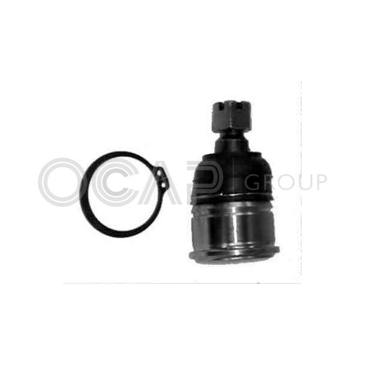 Šarnyras / girgždukas OCAP 0403350