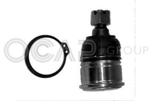 Šarnyras / girgždukas OCAP 0403350