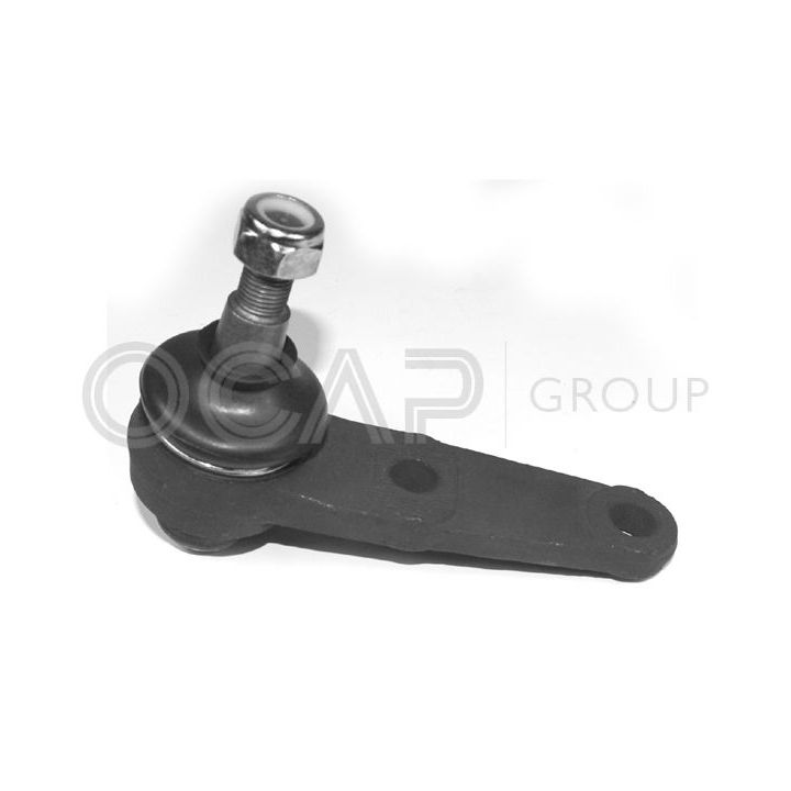 Šarnyras / girgždukas OCAP 0403374