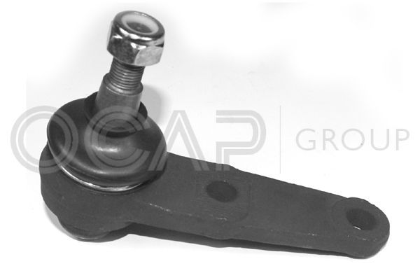 Šarnyras / girgždukas OCAP 0403374