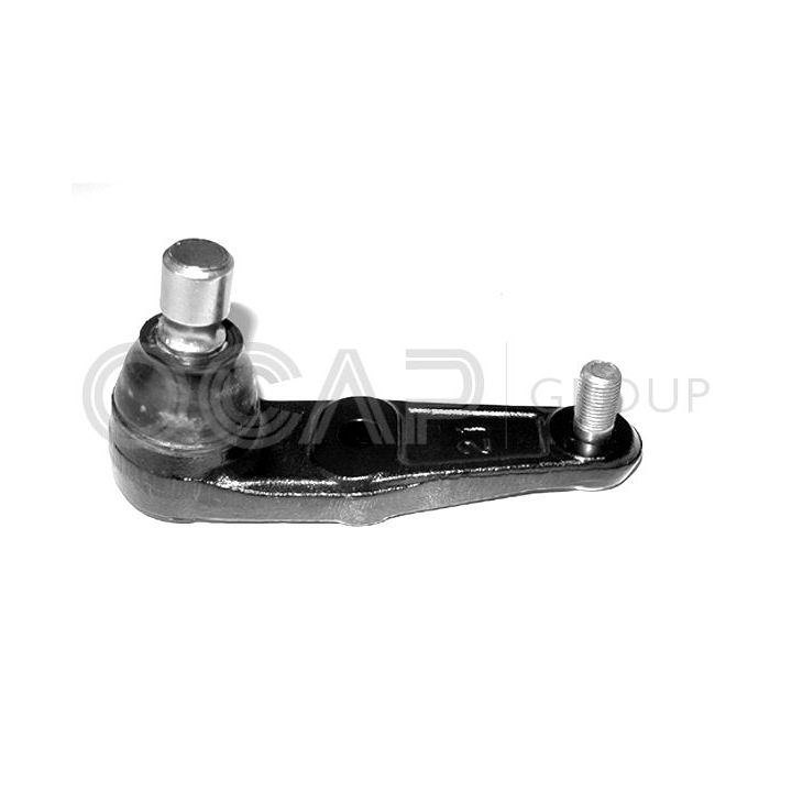 Šarnyras / girgždukas OCAP 0403399