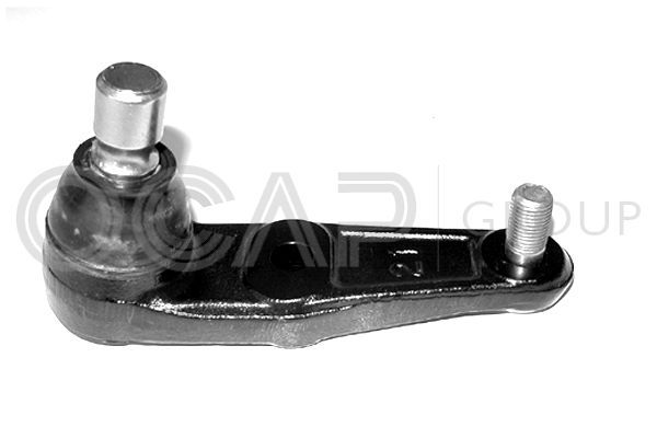 Šarnyras / girgždukas OCAP 0403399