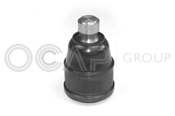 Šarnyras / girgždukas OCAP 0403409