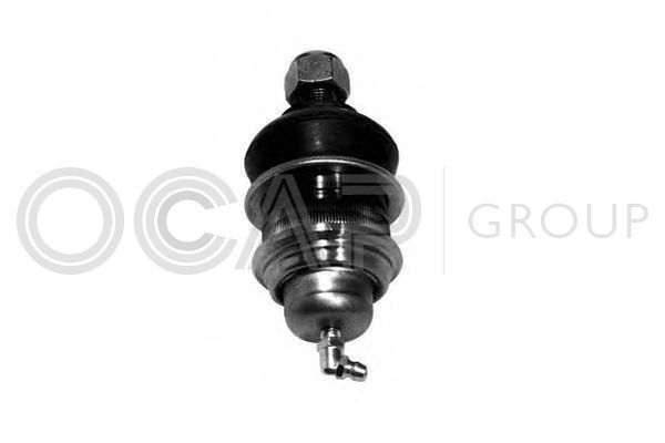 Šarnyras / girgždukas OCAP 0403477