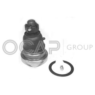 Šarnyras / girgždukas OCAP 0403507