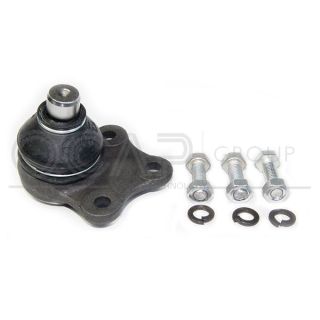 Šarnyras / girgždukas OCAP 0403821