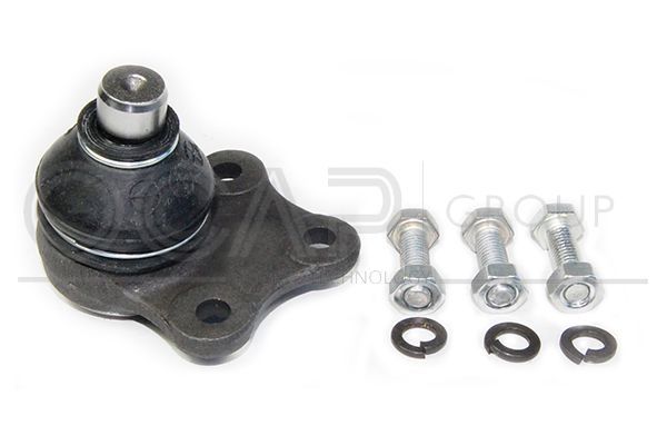 Šarnyras / girgždukas OCAP 0403821