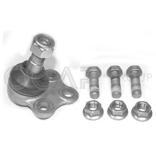 Šarnyras / girgždukas OCAP 0403875