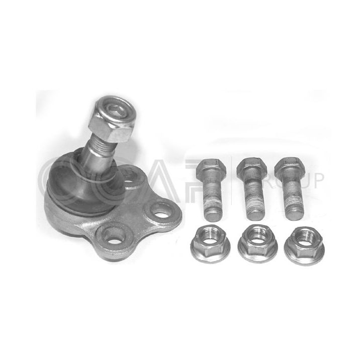 Šarnyras / girgždukas OCAP 0403875