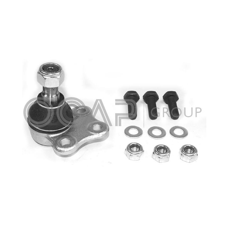 Šarnyras / girgždukas OCAP 0403877