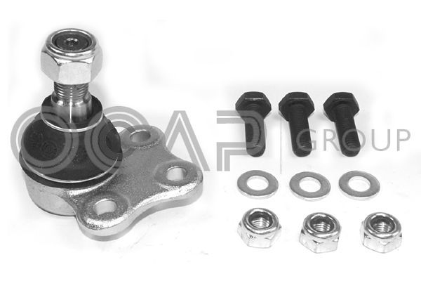 Šarnyras / girgždukas OCAP 0403877