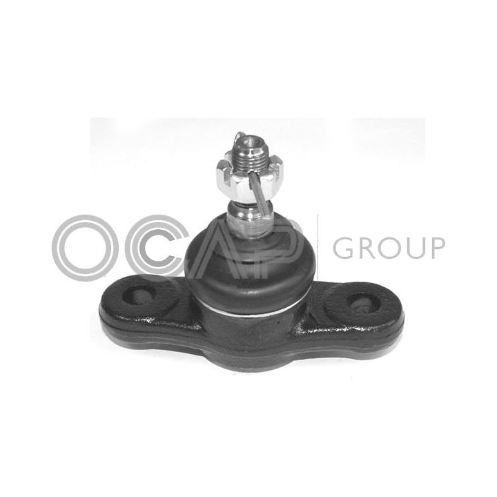 Šarnyras / girgždukas OCAP 0404071