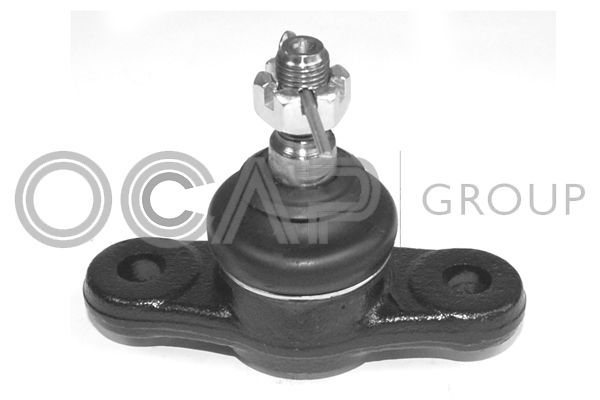Šarnyras / girgždukas OCAP 0404071
