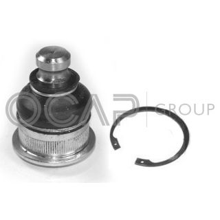 Šarnyras / girgždukas OCAP 0404173