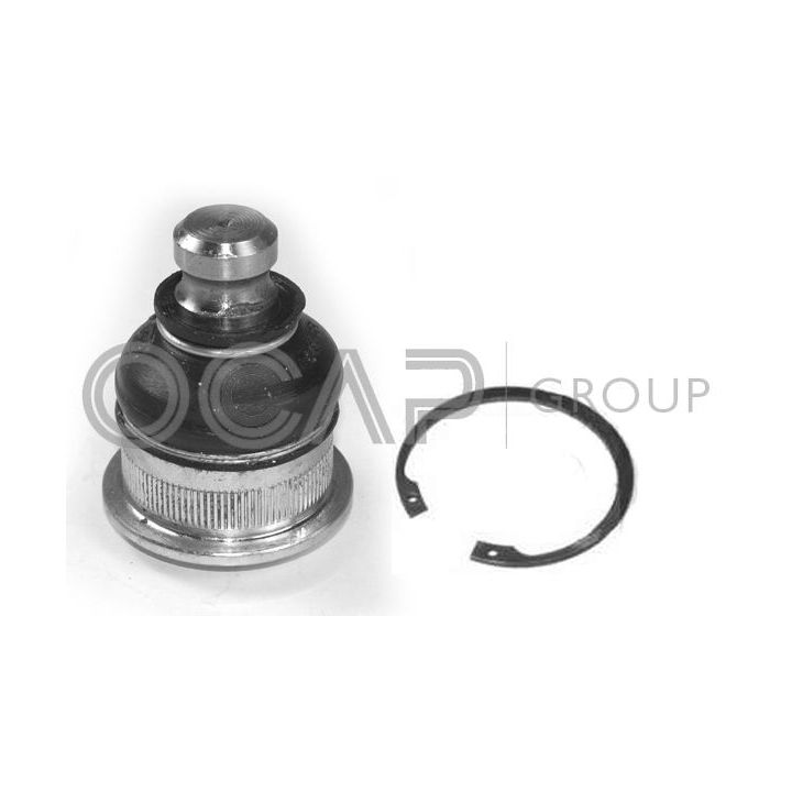 Šarnyras / girgždukas OCAP 0404173