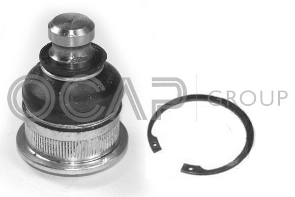 Šarnyras / girgždukas OCAP 0404173