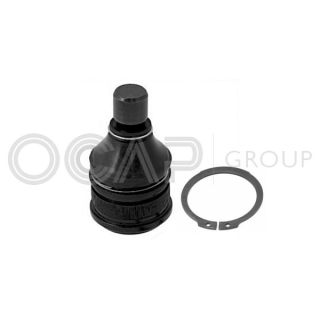 Šarnyras / girgždukas OCAP 0404428