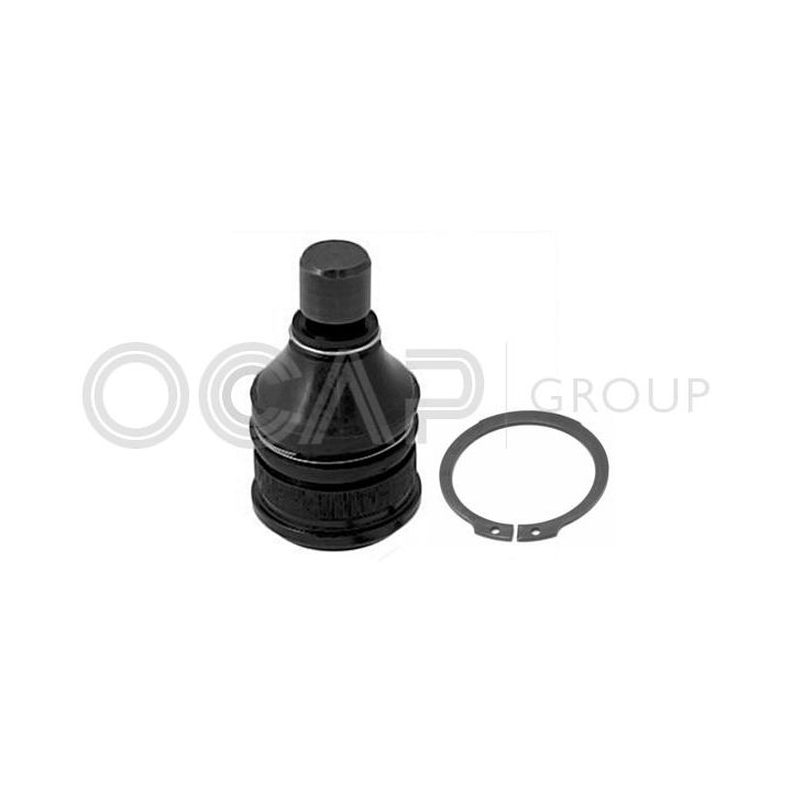 Šarnyras / girgždukas OCAP 0404428