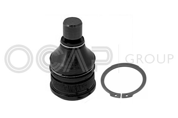 Šarnyras / girgždukas OCAP 0404428