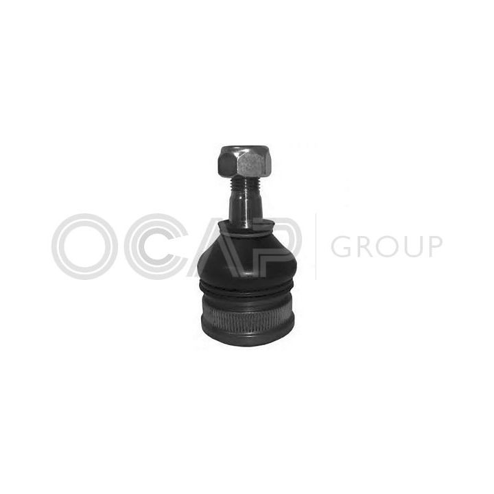 Šarnyras / girgždukas OCAP 0404431