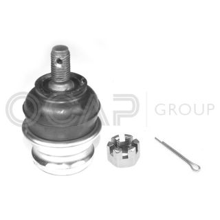 Šarnyras / girgždukas OCAP 0404457