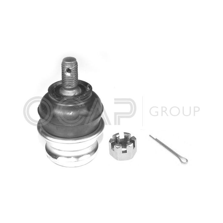 Šarnyras / girgždukas OCAP 0404457