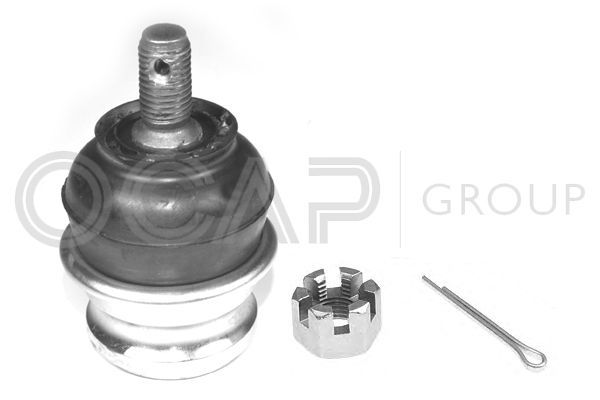 Šarnyras / girgždukas OCAP 0404457