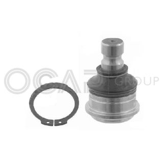 Šarnyras / girgždukas OCAP 0404465