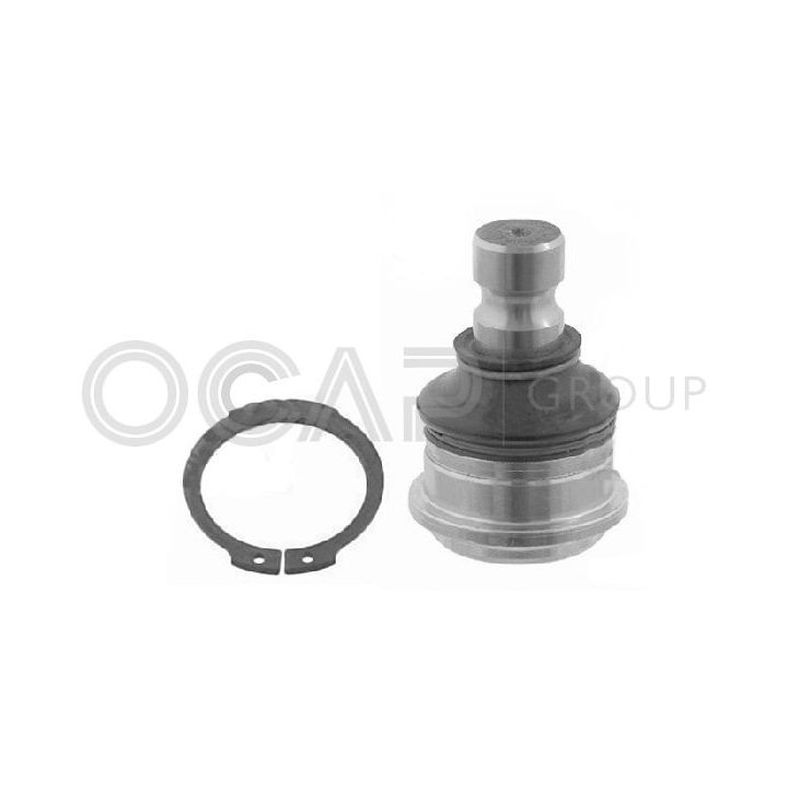 Šarnyras / girgždukas OCAP 0404465